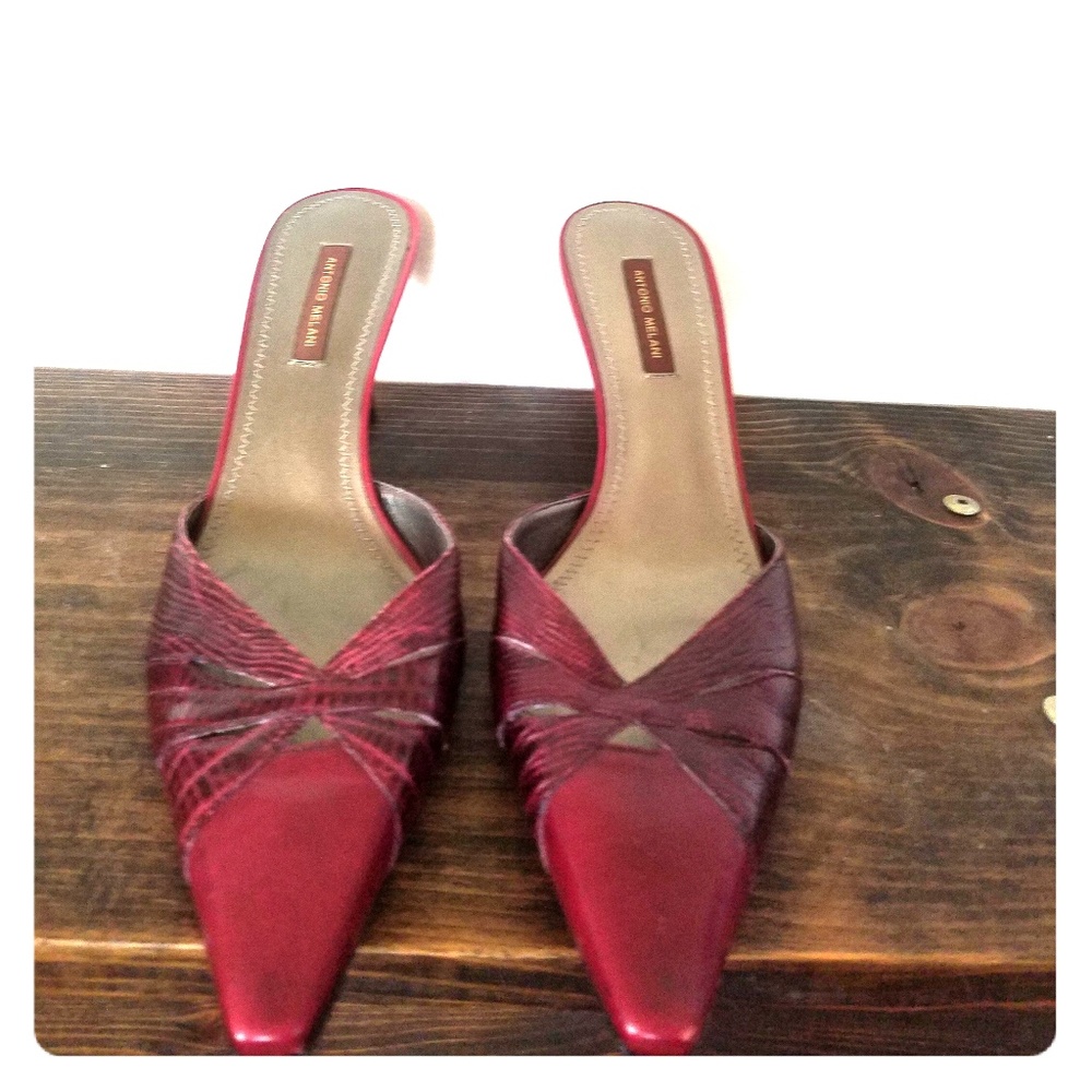 Antonio Melanie kitten heeled shoes